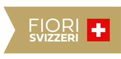 Fiori Svizzeri