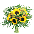 Sonnenschein