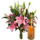 F�licitations avec Bulle d'or