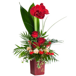 Bouquet Joyeux Noël !