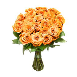 Orange short stem roses