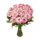 Rose rosa a stelo corto