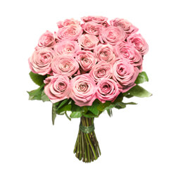 Pink short stem roses