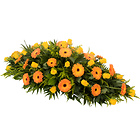 Palma funebre