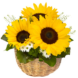Bouquet Gioioso