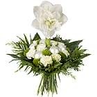 Migliori auguri !