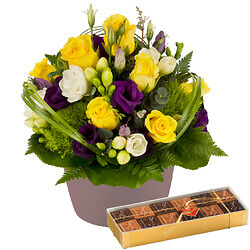Delightful with 'Sweet squares'