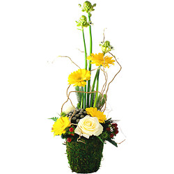 Flower arrangement
