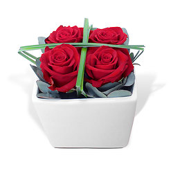 Trendy arrangement of roses