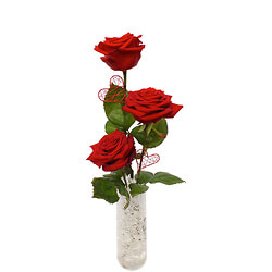 Trio of roses