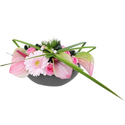 Morgane Arrangement