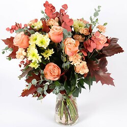 Bouquet Pluie de couleurs