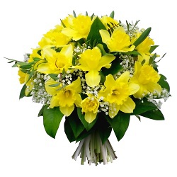 Bouquet Bouquet Jonquilles Lumière