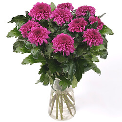 Bouquet Poem