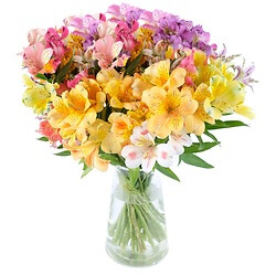 Bouquet Colorful alstroemeria