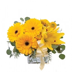 Bouquet Splendore Giallo