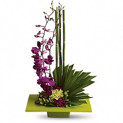 Bouquet Félicité