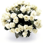 Le bouquet de roses blanches
