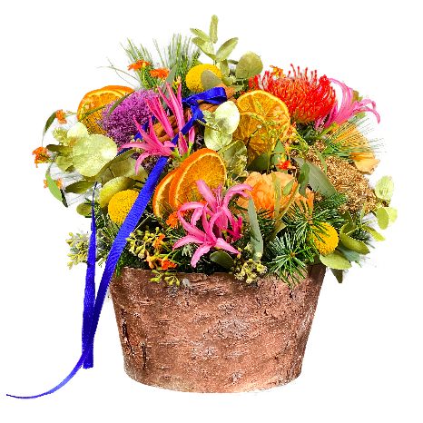 Verspielter Wintergruss