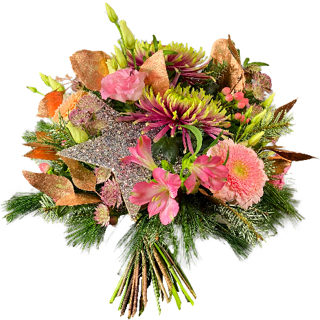 Funkelnde Sternstunde