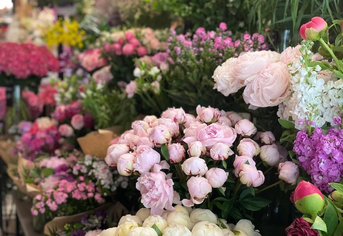 Fleuriste de la Halle Sàrl