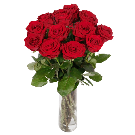 12 Grandes roses rouges
