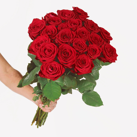 24 Grandes roses rouges