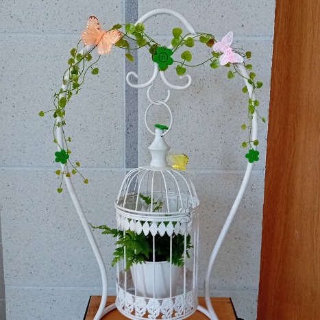 Cage à oiseaux avec plante verte 