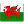 Pays de Galles flag