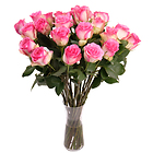 Florist's pink roses