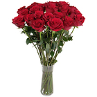 Florist's red roses
