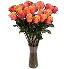 Florist's orange roses