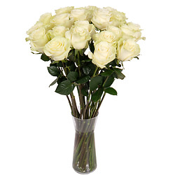 Roses blanches du fleuriste