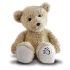 Teddybär (Größe 26 cm)