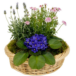 Bouquet Garden of Eden