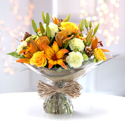 Strauss Festlichkeit