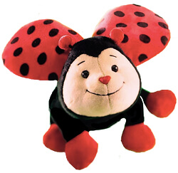 Coccinelle 