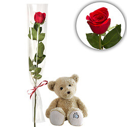 Rotfarbige Rose mit Teddybär