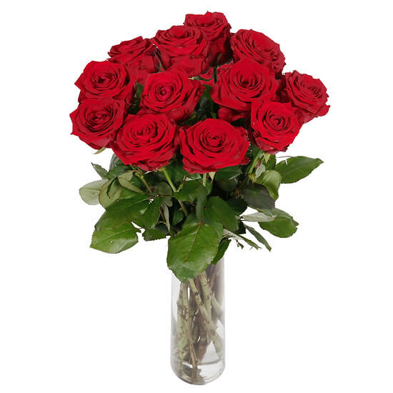 12 Long-stemmed red roses