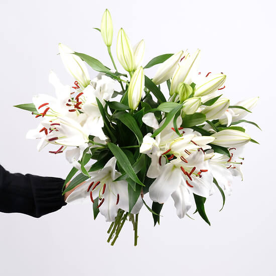 White lilies