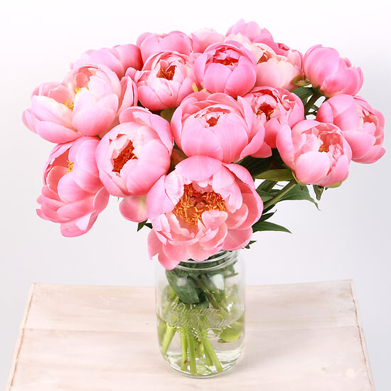 Sweet peonies