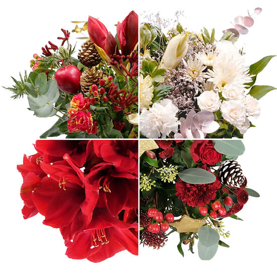 Bouquet de Noël