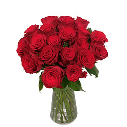 Strauss Samtrote Rosen (20 Rosen)