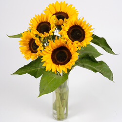 Bouquet de 5 tournesols