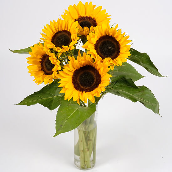 Bouquet de 5 tournesols