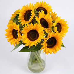 Bouquet de 10 tournesols