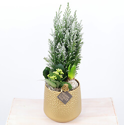 bouquet