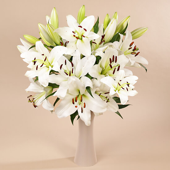 Weiße Lilie – Blumenlieferung Schweiz