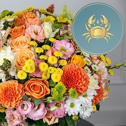 Bouquet Bouquet Cancro
