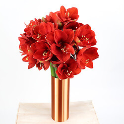 Wie schön ist das Leben !